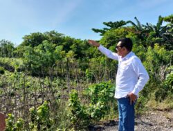 Bupati Butur Berkunjung di Lokasi Persiapan Pembangun Bandar Udara Lantagi