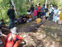 Warga Butur Diterkam Buaya Saat Mencari Kerang Kali di Sungai Langkumbe