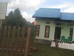 KSDA Butur II Sita Kayu Ilegal, Barang Bukti Tidak Diangkut Semua, Ada Apa? 