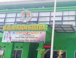 Terkait Penyitaan Kayu Ilegal, Kepala BKSDA Sultra Mengaku Belum Terima Laporan dari KSDA Unit II Butur