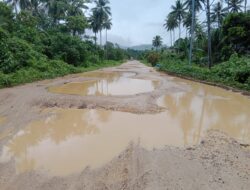 Jalan Provinsi Sultra di Desa Bubu Butur Kondisinya Rusak Parah
