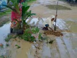 Protes Jalan Rusak Emak-Emak Tanam Kelapa, Kabid Bina Marga Sultra Mengaku 2023 Akan Diperbaiki, Saat ini Sementara Proses Pembuatan Kontrak