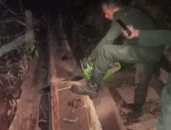 KSDA Butur II Musnakan Kayu Ilegal
