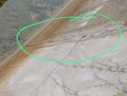 Proyek Irigasi Lambale Tahap III Mengalami Retak-Retak, Anggaran Rp10 Miliar Tidak Mampu Menjamin Kualitas