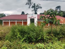 Gedung Pasar Kecamatan Bonegunu Masih Terbengkalai