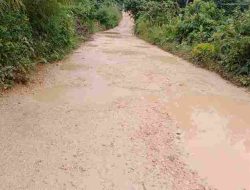 Kondisi Jalan Provinsi Sultra di Buton Utara Merana: Perekonomian Terhambat, Harapan Masyarakat Terpatri