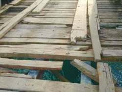 Jembatan Rusak di Bonegunu Buton Utara Rusak Parah Mengancam Keselamatan Warga