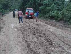 Jalan Rusak, Harapan Runtuh: Warga Buton Utara Menanti Aksi Pemerintah