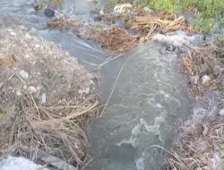 Kabar Gembira, Irigasi Lambale Kini Jamin Pasokan Air Petani Soloy Agung