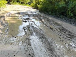 Jalan Penghubung Kulisusu Barat-Bonegunu Rusak Parah, Warga Minta Perbaikan Segera