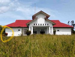 Ironis! Kantor Bupati Buton Utara di Buranga Kini Jadi Tempat Ternak Sapi
