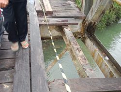 Bahaya! Jembatan Provinsi Sultra di Buton Utara Berlobang dan Lapuk, Warga Terpaksa Dorong Motor 