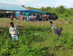 Babinsa Kodim 1429/Butur Ajak Warga Kerja Bakti Bersihkan Pasar di Desa Baluara