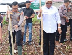 Harga Beras dan Cabai Naik, Ini Penjelasan Kepala Dinas Ketahanan Pangan Butur