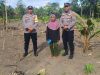 Kapolsek Bonegunu Dampingi Petani Jagung di Kambowa, Siap Carikan Pasar Hasil Panen