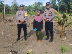 Kapolsek Bonegunu Dampingi Petani Jagung di Kambowa, Siap Carikan Pasar Hasil Panen