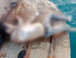 Mayat Pria Tanpa Identitas Ditemukan di Perairan Labuan Bajo Butur