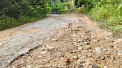 Pendakian Walipuo Rusak Parah, Warga Kambowa Bertaruh Nyawa Demi Hidup