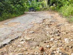 Pendakian Walipuo Rusak Parah, Warga Kambowa Bertaruh Nyawa Demi Hidup