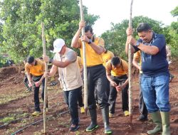 Kapolres Buton Utara Pimpin Penanaman Jagung Serentak Kuartal I 2026, Komitmen Nyata Dukung Ketahanan Pangan