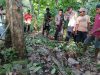 Warga Labuko Tewas Diduga Dililit dan Digigit Ular di Kebun