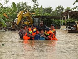 Brimob Polda Sultra Evakuasi Warga Terdampak Banjir di Kendari