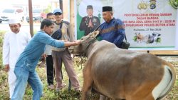Polres Buton Utara Sembelih 4 Sapi dan 1 Kambing Kurban pada Iduladha 1447 H