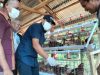 Wabup Buton Utara Lepas 1.000 Bibit Ayam Petelur Bumdes Waodeburi, Dorong Ketahanan Pangan Desa
