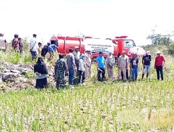 Sawah Seluas 117 Hektare di Buton Utara Terdampak Kekeringan, Bupati Kerahkan Mobil Tangki