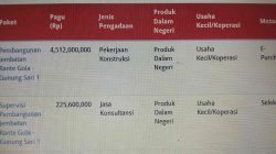 Material Jembatan Rante Gola-Gunung Sari Disebut Gunakan Pasir Langkumbe