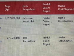 Material Jembatan Rante Gola-Gunung Sari Disebut Gunakan Pasir Langkumbe